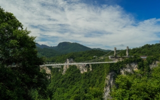 游客减少消费降级 中国中免业绩连降六季