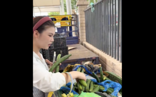 萧易：从中国社零数据变化看居民消费降级