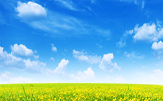 王友群：中国新年最美好的期盼