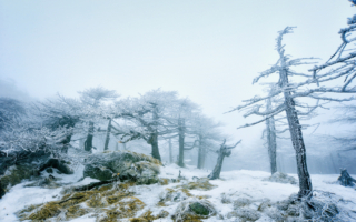 跟我学唐诗（46A）