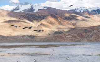 五律︰寄韵（四）