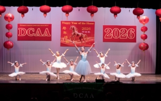 组图：特拉华华人协会庆祝中国新年