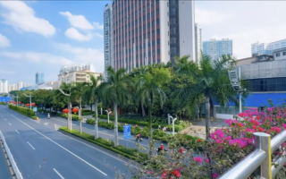 华侨回国观察：街头空荡荡 物价低到离谱