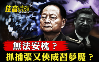 【佳音时刻】不敢离京?习抓捕张又侠成梦魇