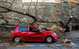 组图:强风暴横扫法国南部 约90万户断电