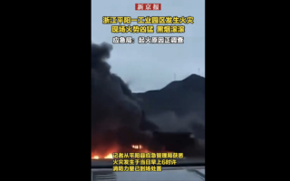 温州一工业园区内突发火灾 黑烟弥漫数公里