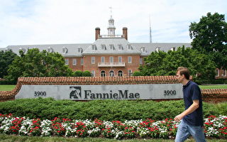 房利美和房地美快速增持抵押贷款证券