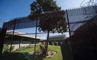 加州数千被定罪的恋童癖者 不到一年即获释