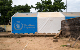 美国计划提名世界粮食计划署署长人选