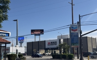 油价飙涨 G7将讨论联合释放石油储备问题