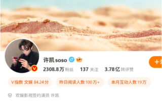 手术一半麻药失效 男星许凯曾忍痛左脸缝八针