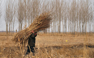 掸封尘：两会照妖镜——养老金涨20元背后的真相