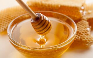 生病或受伤时食用蜂蜜 会加速复原吗？