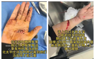 中共两会 访民被暴力维稳导致精神失常