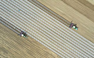 美启动301调查 聚焦60国的强迫劳动商品