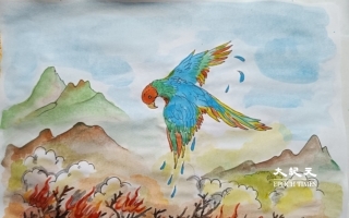 鹦鹉救火的传说