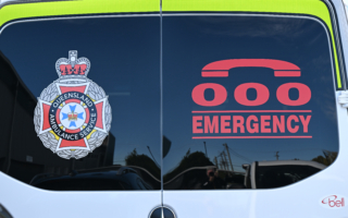 昆州救护人员上周救治15名被蛇咬伤患者