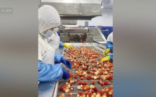 云南冻干草莓被检出有毒重金属 超标10倍