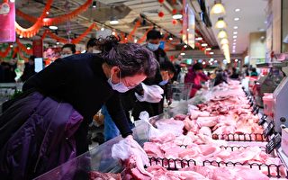 大陆生猪价格上涨 专家预料12月或高位下滑