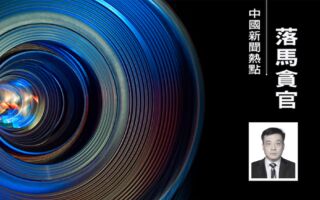 中共央企高管频落马 华润集团副总经理投案