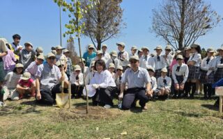 嘉市博爱学童爱植树 羊蹄甲种回北香湖固碳