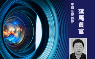 涉受贿案被起诉 重庆“老虎”段成刚被逮捕