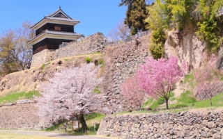 20年此消彼长：中国形象在澳洲坠落 日本强势跃升