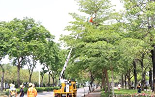 反倾销与补贴 欧盟对中国高空作业设备征关税