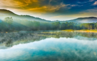 水清无鱼，人察无徒：宽容才有生命力