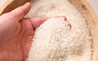 全球最贵大米获吉尼斯认证 却无法赚到钱