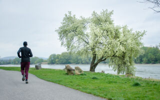 运动如何降低罹患癌症风险？