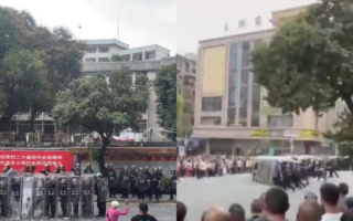 广东老人用鸡蛋砸警察 盛雪:人们走投无路