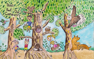 加州启动2026植树周 能源和保险公司慷慨赞助