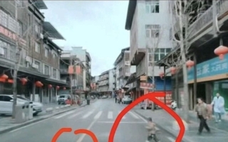 华为电动车智驾状态下冲撞2岁幼童