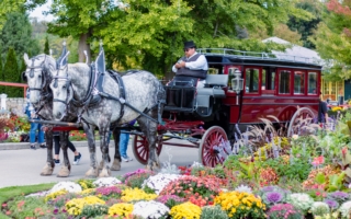 美国有这样一个地方：街上没汽车 人均一匹马