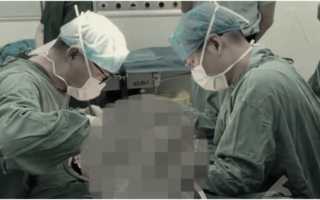 大陆近800人联署：审查及暂停器官移植