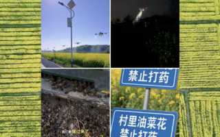 大陆多地无人机狂洒农药酿灾 蜂农损失惨重