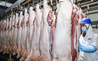 大陆猪价跌破14元 创年内新低