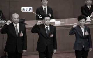 王友群:“血债帮”要员王小洪将自食苦果