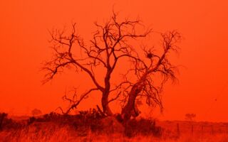 热带气旋逼近 西澳鲨鱼湾天空变血红色