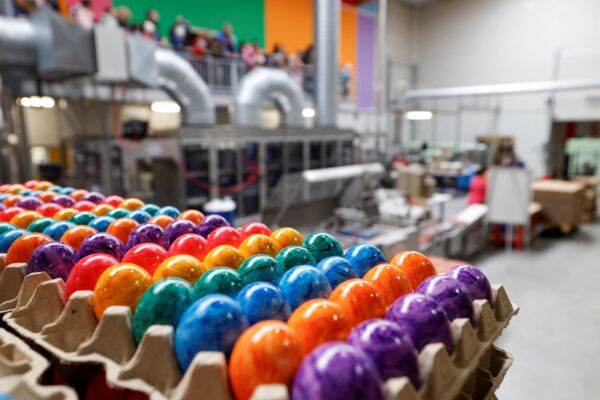 组图：复活节将至 德国传统彩蛋工厂忙翻天