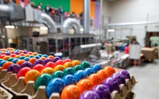 组图：复活节将至 德国传统彩蛋工厂忙翻天