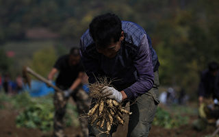 地方财政没钱了？吉林通榆县撤销逾900个机构