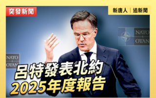 【直播】吕特发表北约2025年度报告