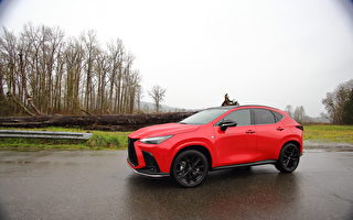 倒车影像无法显示 丰田在美召回逾14万辆凌志