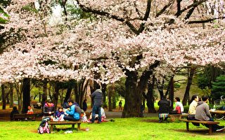 这个节气为何称清明？ 从天地人窥见内涵
