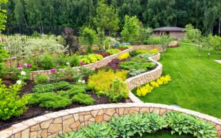 园艺专家：2个简单改变能把老鼠赶出花园