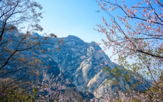 诗歌：清明敬英灵