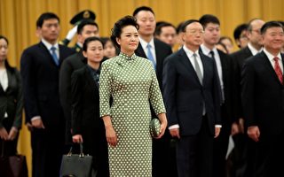 高新：彭丽媛或接替铁凝 为下任人大副委员长