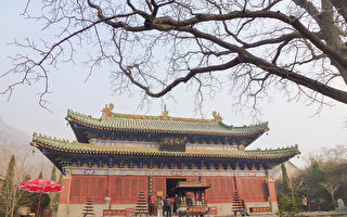 虚报78亿实际1亿 河南3地招商引资造假上热搜